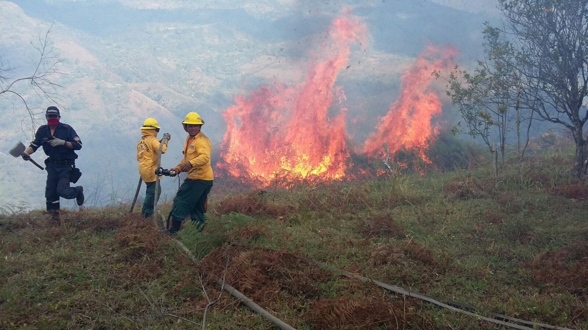 Alfred_Balle's tweet photo. El fenómeno de El Niño no será el único responsable de una posible crisis hídrica. Muchas emergencias se agravan por acciones humanas que podemos evitar desde hoy.

Estos son 5 errores que NO debemos seguir cometiendo:
Desperdiciar agua potable Hacer quemas que pueden terminar en incendios forestales Dejar perder el agua lluvia Deforestar bosques y ecosistemas estratégicos Ignorar fugas y pérdidas en acueductos y hogares

Prepararnos no es esperar la emergencia, es actuar antes de que ocurra.
Entre todos podemos reducir los impactos y proteger el agua que abastece a nuestros municipios y ciudades.