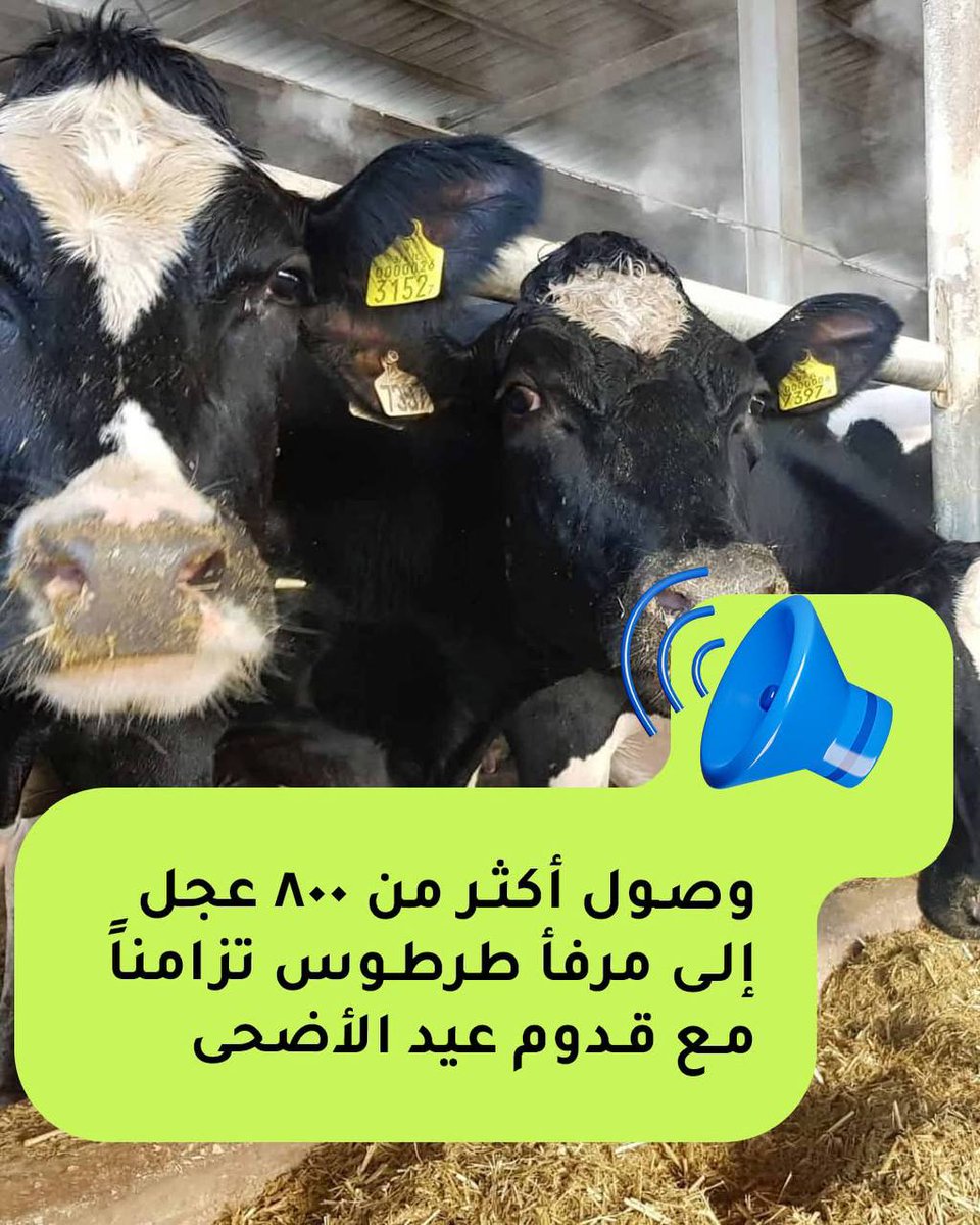 بالاقتصاد tweet media