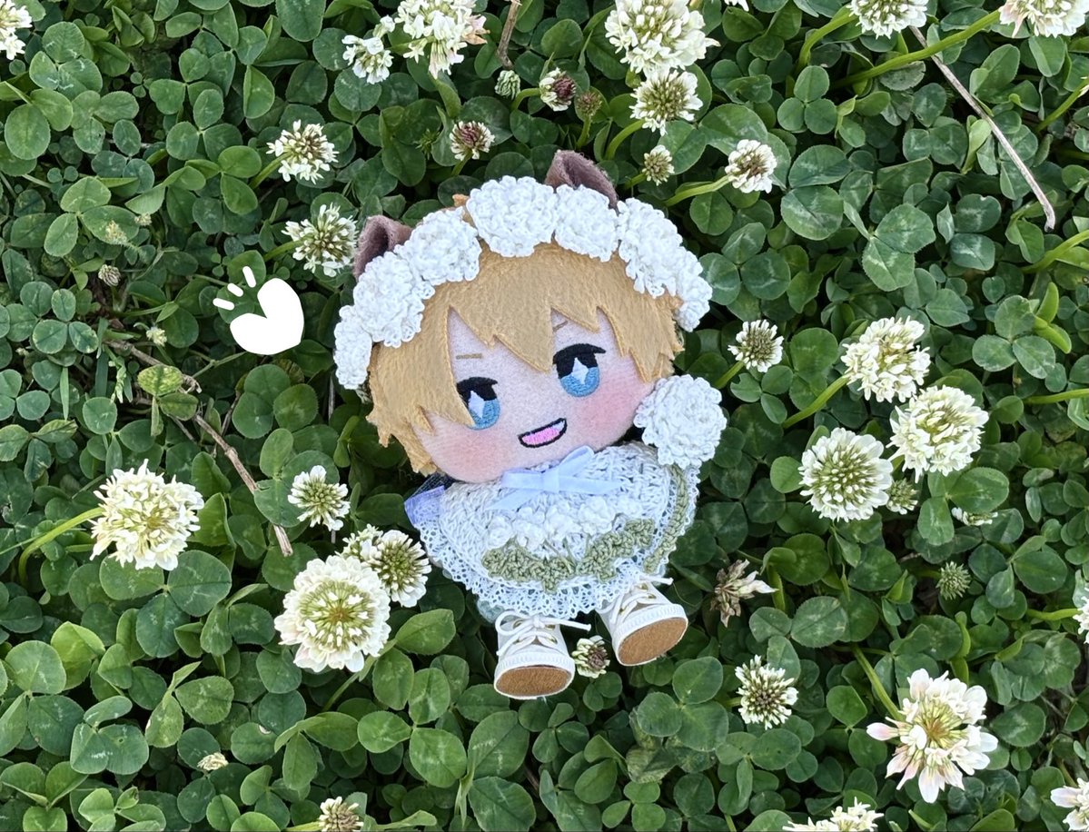 シロツメクサのお花畑🍀✨ たくさん咲いてて綺麗だね☺️