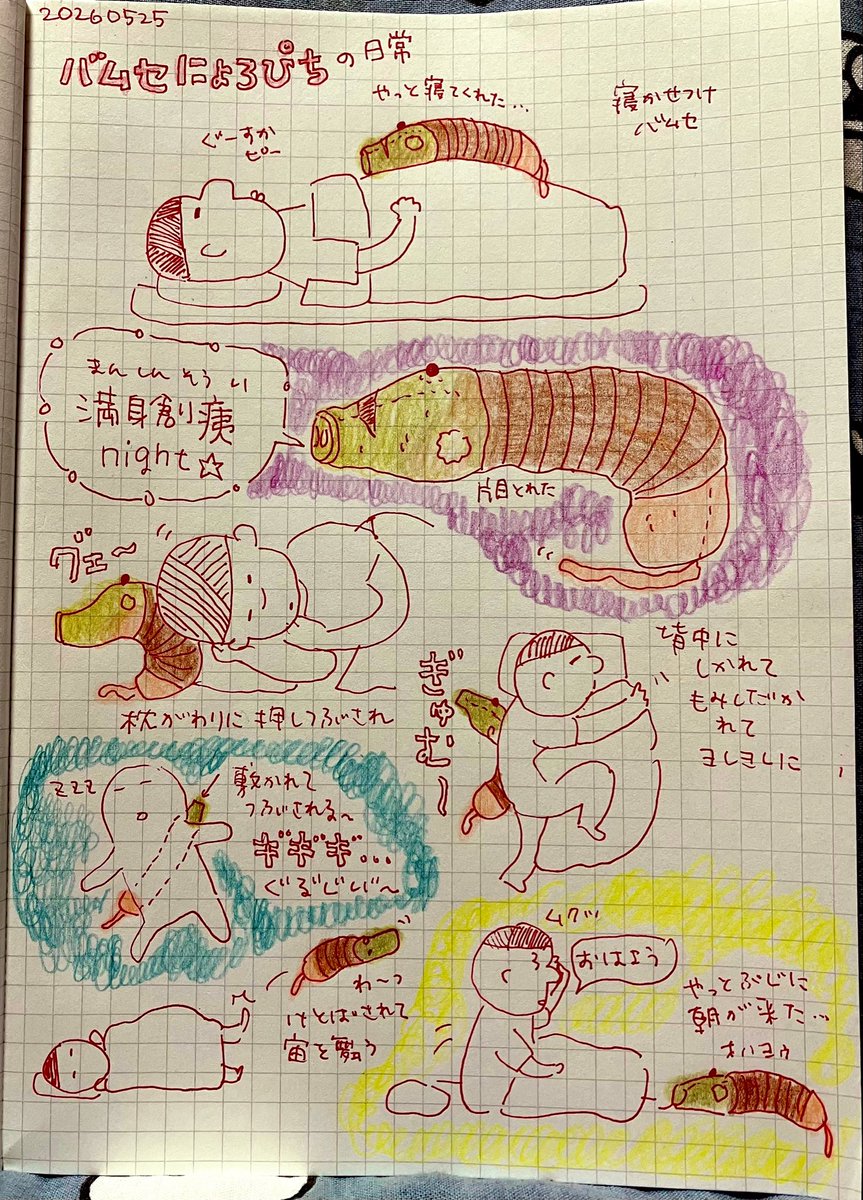 nyoropichi's tweet photo. ボロにょろ〜🐖
#バムセ #bamse #bamsen https://t.co/hYCbBlU2SN