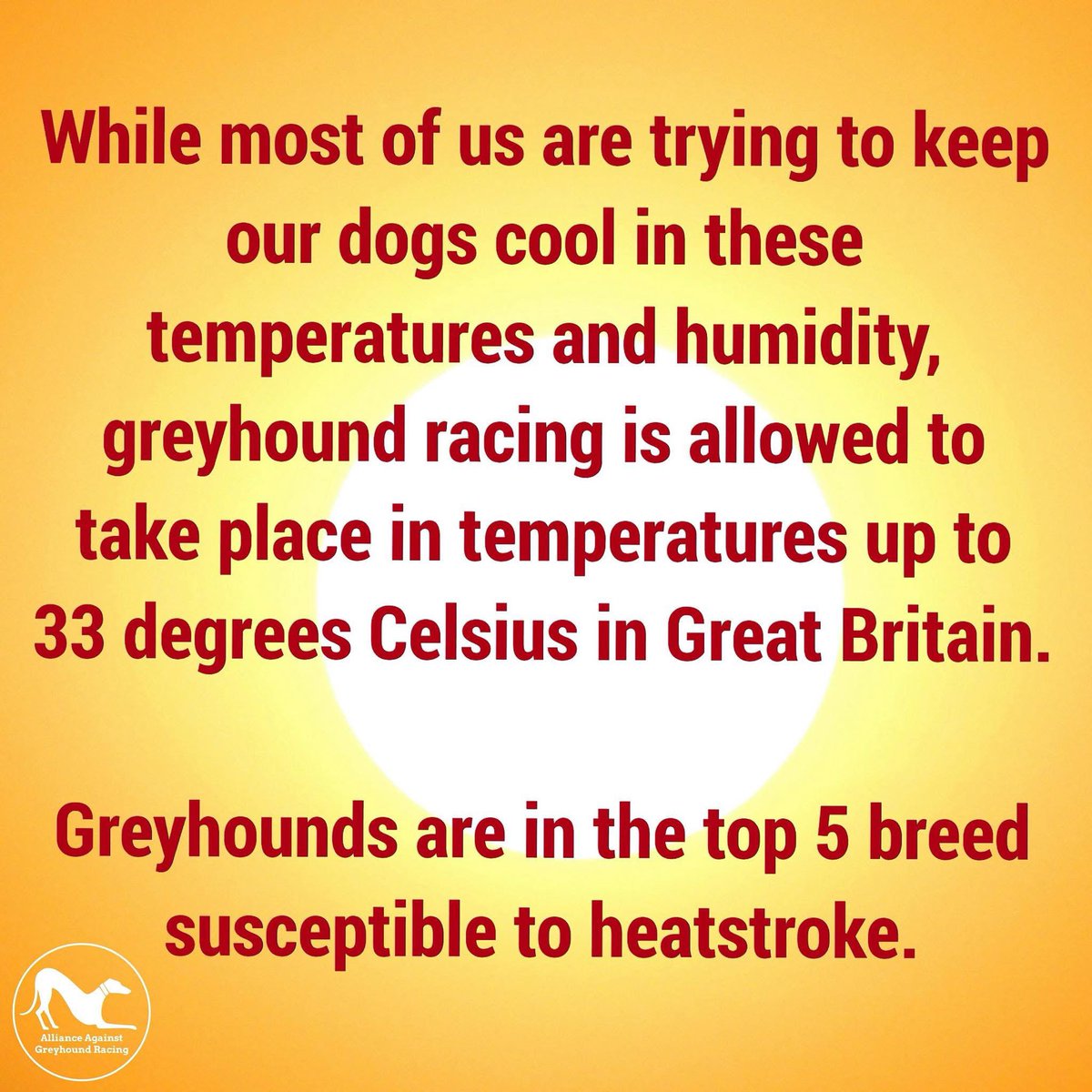 Alliance Against Greyhound Racing tweet media