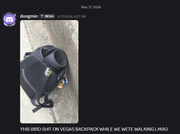 Vega tweet media
