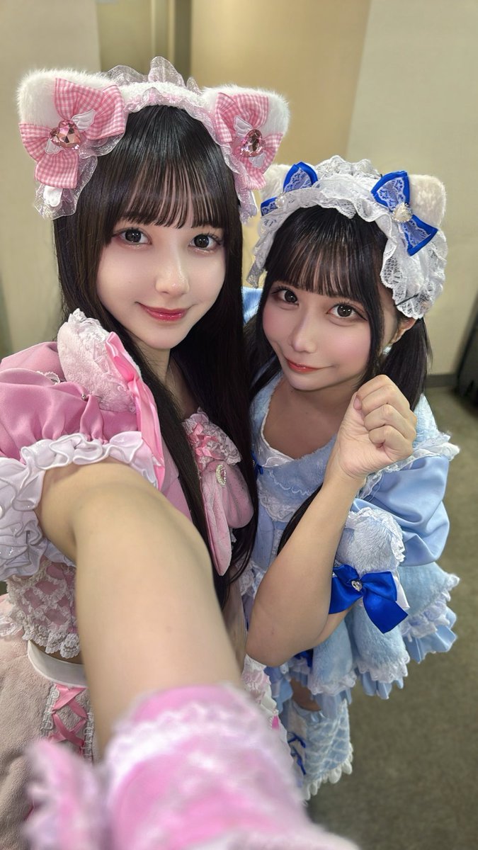 よここここ 拾ってにゃんฅ^•ω•^ฅ🩷💙