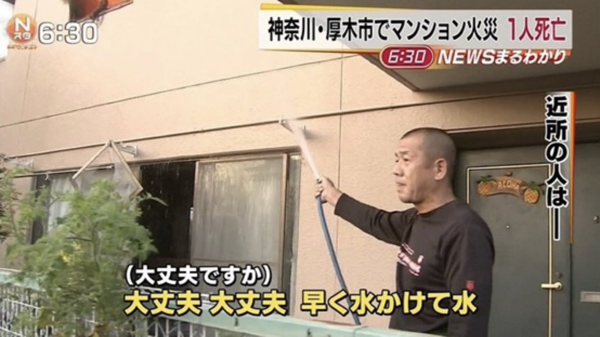 何度でも見たくなる tweet media