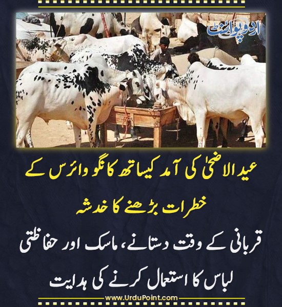UrduPoint اردوپوائنٹ tweet media