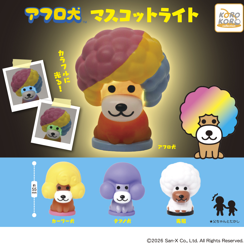 アフロ犬