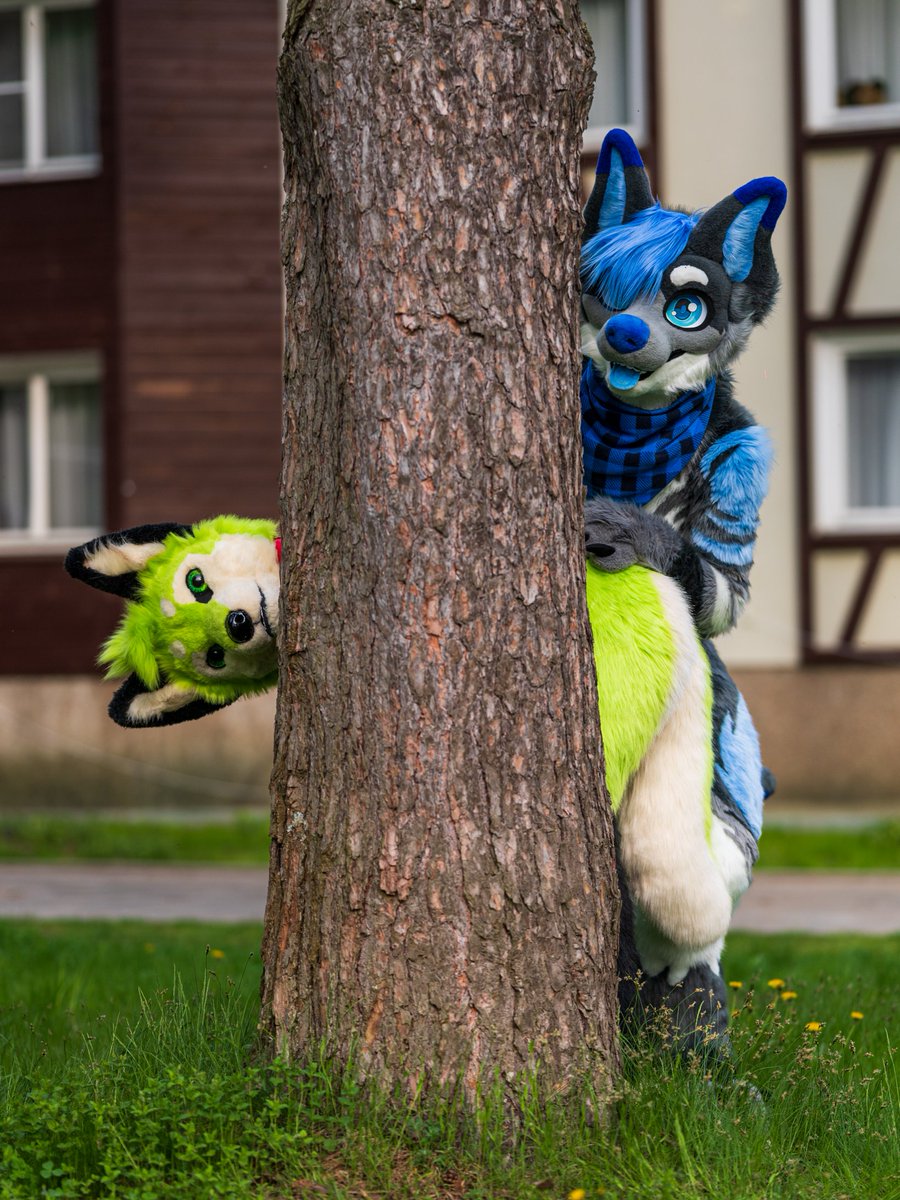 Rexsio_Art's tweet photo. photo from Foxwood part 4
#furry #fursuit #cute #FoxWood #Wolf #Shark #FursuitFurDay https://t.co/vbXvX7pbAq