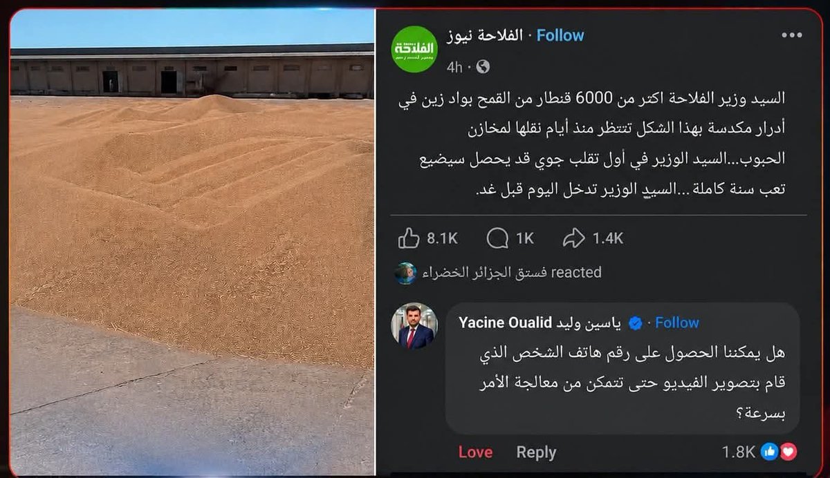 انا هي بالضبط 🤍❤💚🇩🇿 tweet media