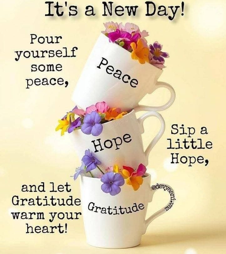 MargaretAntony5's tweet photo. 💜 https://t.co/mZptiGBrYN