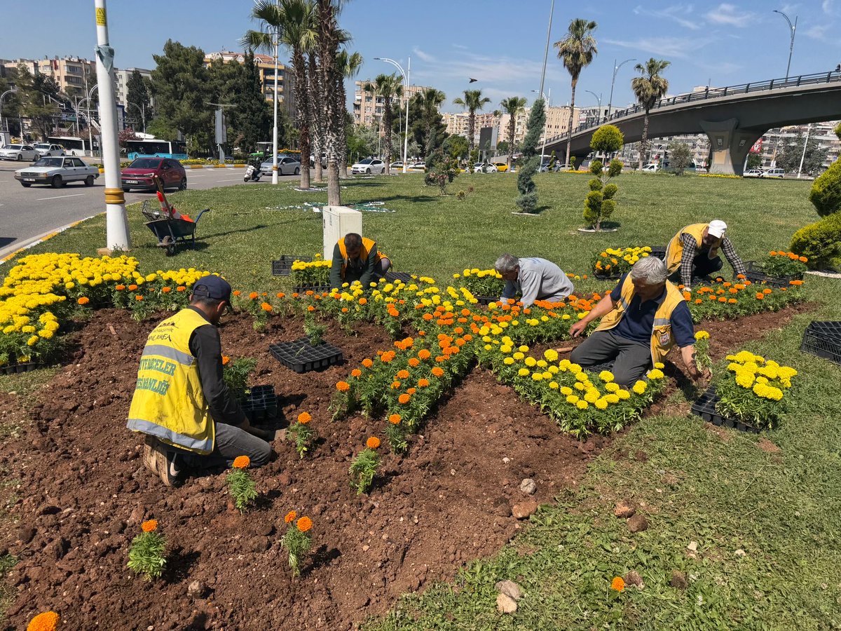 SbbPark's tweet photo. 📍Abide Kavşağı ❤️

Park ve Bahçeler Dairesi  Başkanlığına bağlı ekiplerimiz;👷🚧👷

Çiçek dikimi çalışmalarını hız kesmeden sürdürmektedir.🌸🌹🌼

@sanliurfabld 
@MithatCanKutluc 
@halilaldeniz_ 
@sukrukaracads 
@musadokuz_ https://t.co/KRvQWfhB4F