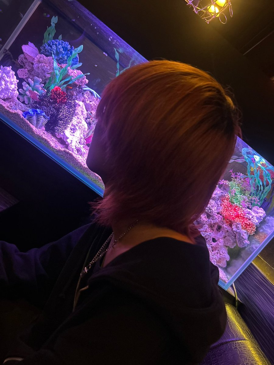 六花が静かに眠るなら tweet media