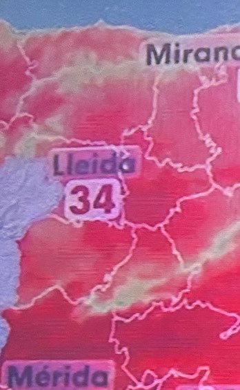 EtFelicitoFill tweet media