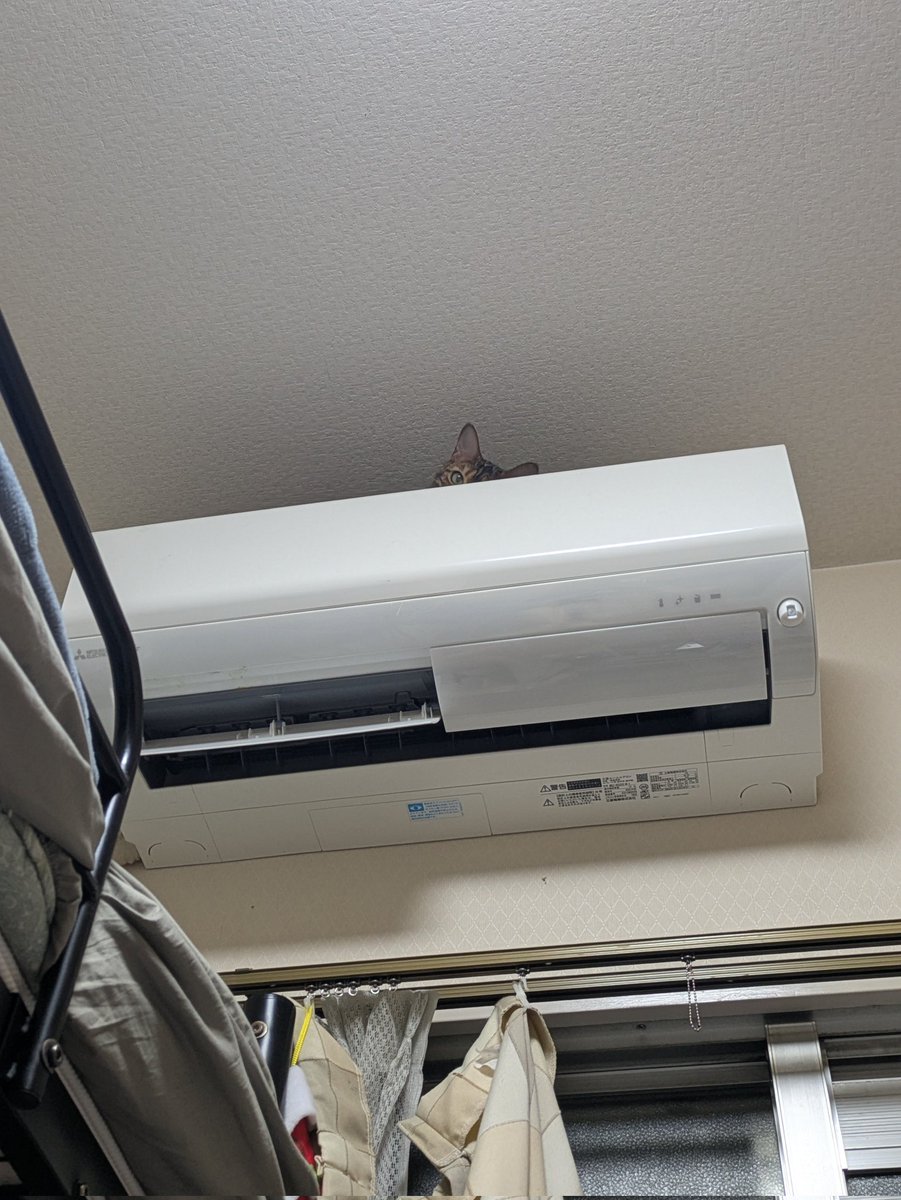 カドイシさん。 tweet media