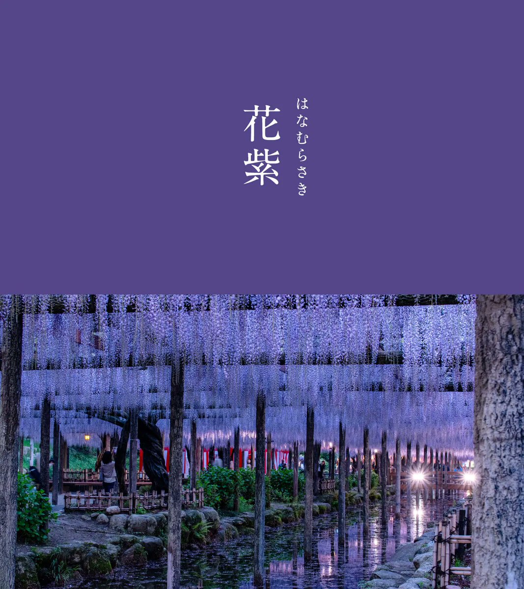 暦生活 tweet media