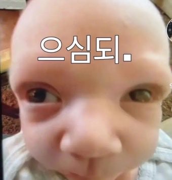 오빤리버풀스타일 tweet media