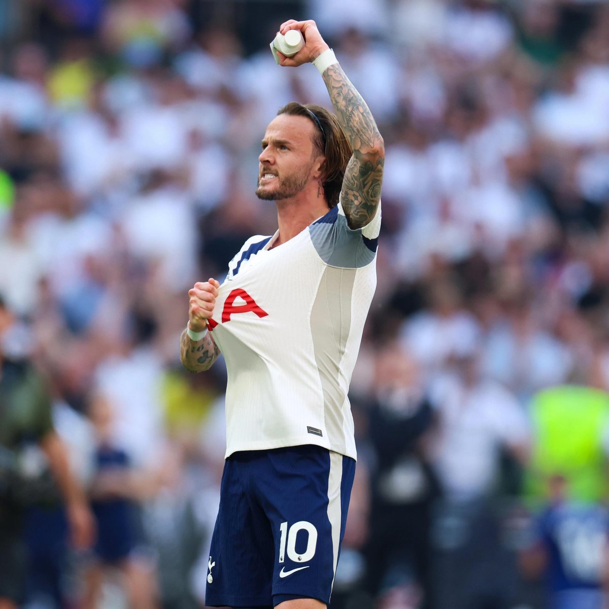 Hotspur Edition tweet media