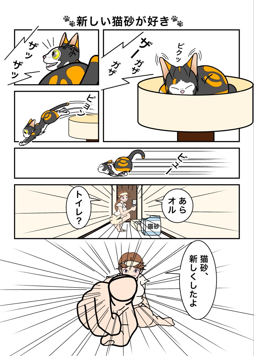 KuninA007's tweet photo. 新しいもの好き。　というより、いつもと違うことがあると現れるオルタンス😃

#猫漫画  #三毛猫 #猫あるある
#kindleインディーズ https://t.co/IUOv6WNc5d