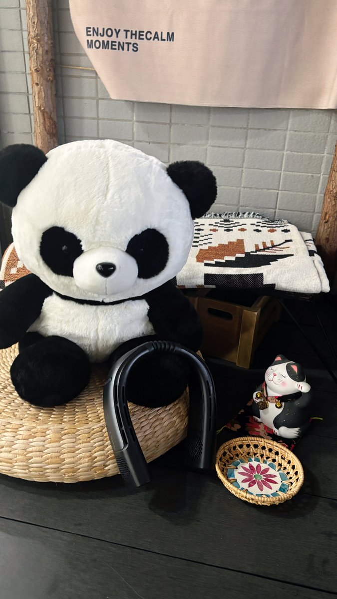 TORRAS_JP's tweet photo. もうCOOLiFY 2S Proと夏のこと考えてるクリ〜🐼
#STAFF物語 #TORRAS https://t.co/mi7NiooEia