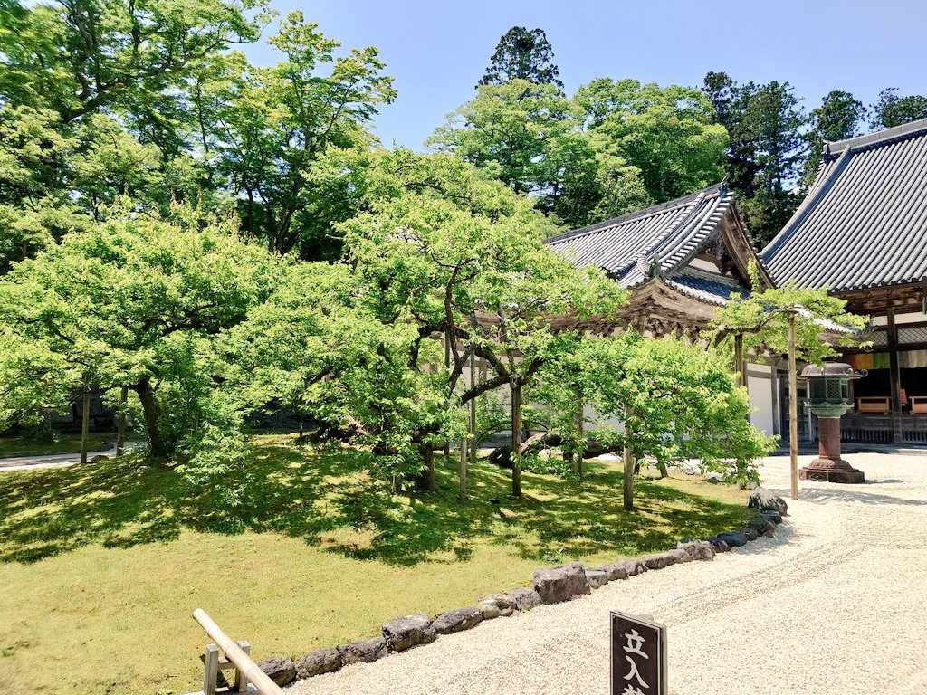 eishisekiuchi's tweet photo. ◯伊達政宗公の命日は寛永13年5月24日(1636年6月27日)なので1日遅れですが松島 瑞巌寺へ参拝(2026/5/25)
①②③本堂正面の白砂は中央に通路ができていた。墨絵の間の襖が取り外され、羅漢の間・鷹の間・北広縁の間に白色無地の障子が入れられた。菊の間との間は障子はなかった https://t.co/93oilp9E2j