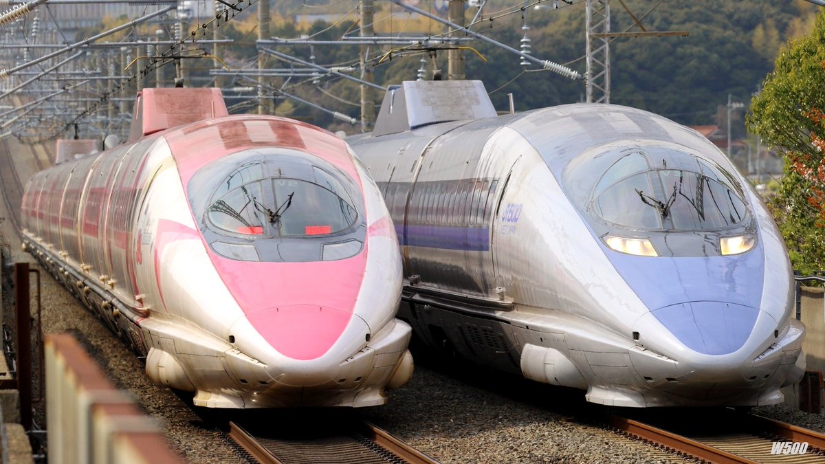 W500 tweet media