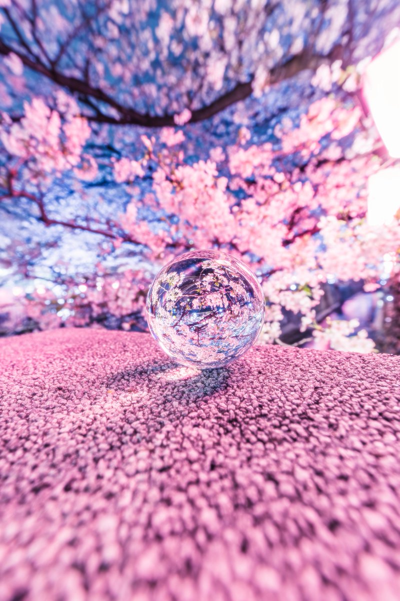 𝓀𝒾𝓀𝒾／ｶﾞﾗｽ玉 𓈒𓏸 𓆝𓊛 tweet media