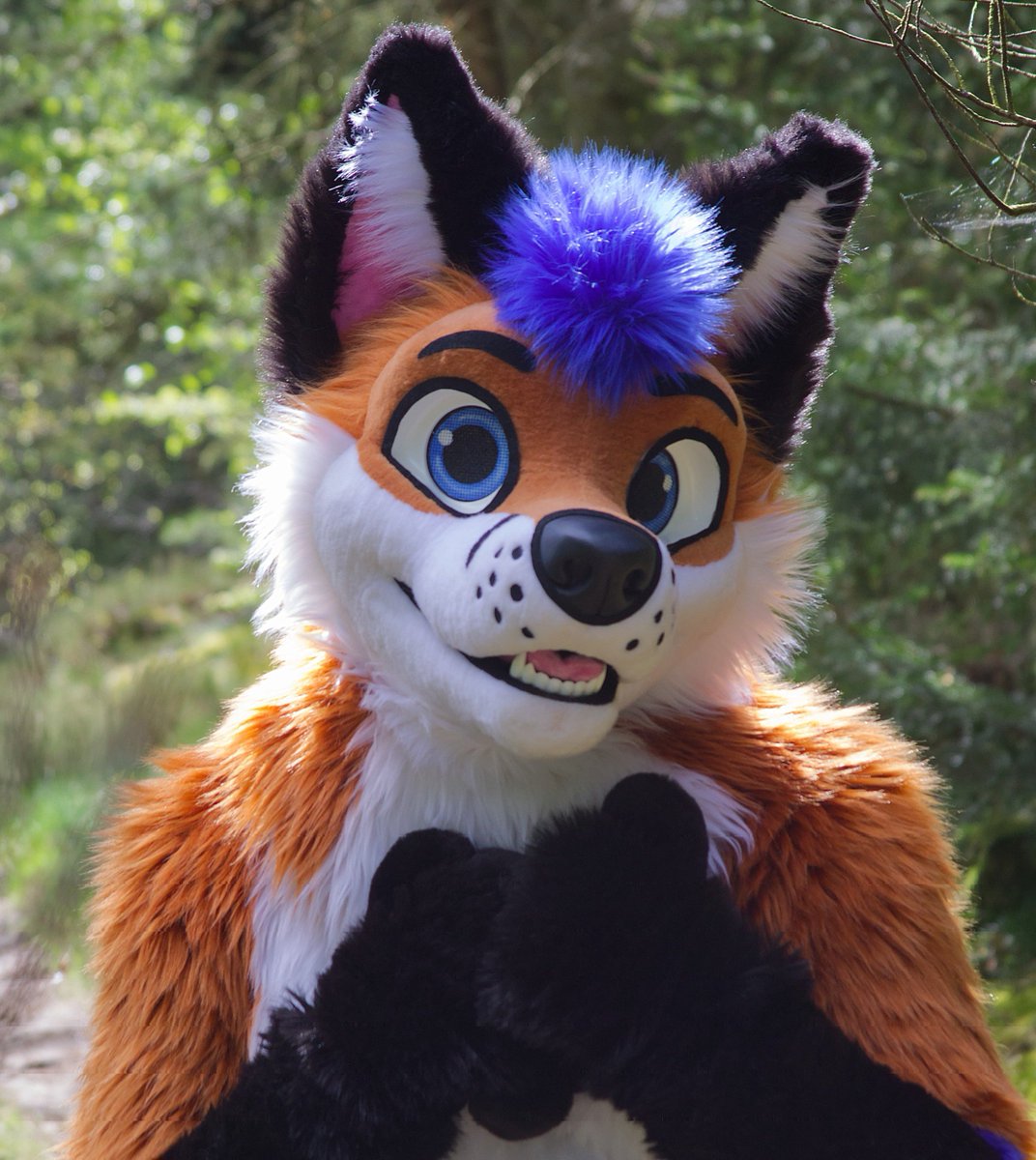 Ponyfox tweet media