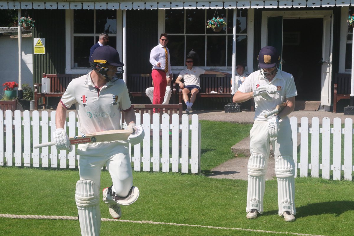 MunsterCricket's tweet photo. https://t.co/1fdaHmgHX2
