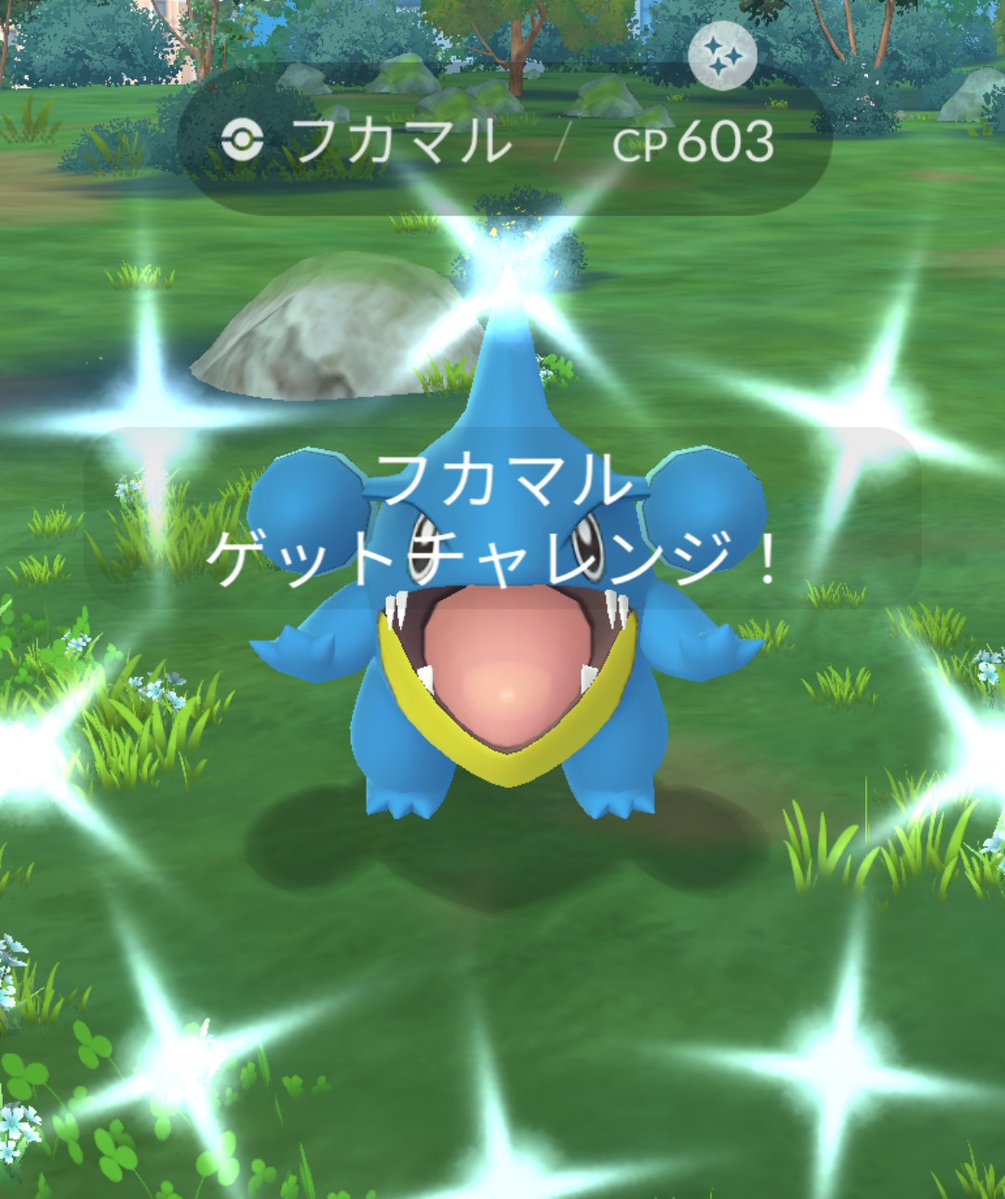AbsolORAS's tweet photo. 色フカマルGET！
本当になんとなくやってたら光った！
明日から中学生相手に英語教えるので
いい景気づけになりました！
教育実習残り2週間頑張ります！
#ポケモンGO https://t.co/4XutC0a8VC