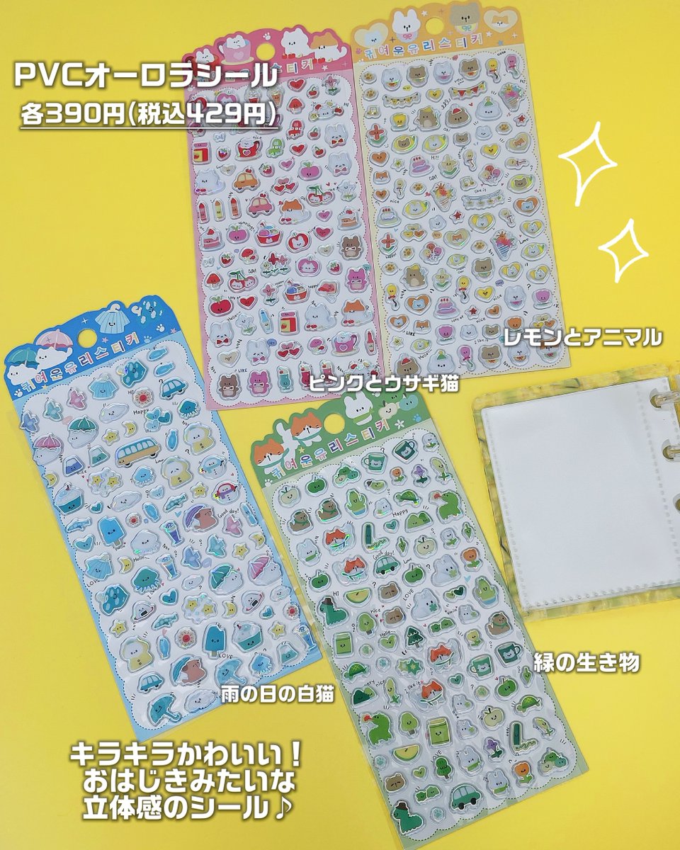 活動歴および当時の関連ビジュアル記録