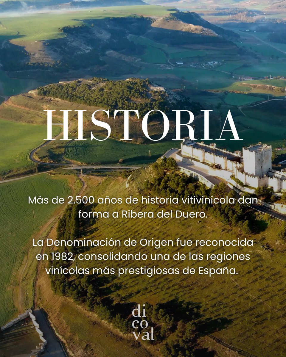 JDicoval's tweet photo. #RiberadelDuero: altitud, carácter y una de las grandes expresiones de la Tempranillo.

¿Cuál es tu Ribera favorito?🍷

Descubre más en https://t.co/R2GnX2svn1 https://t.co/bbYWzWYwAl