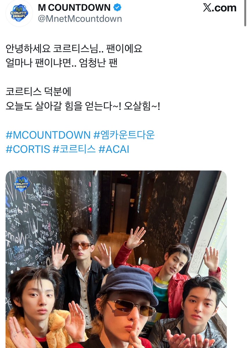 사자 tweet media