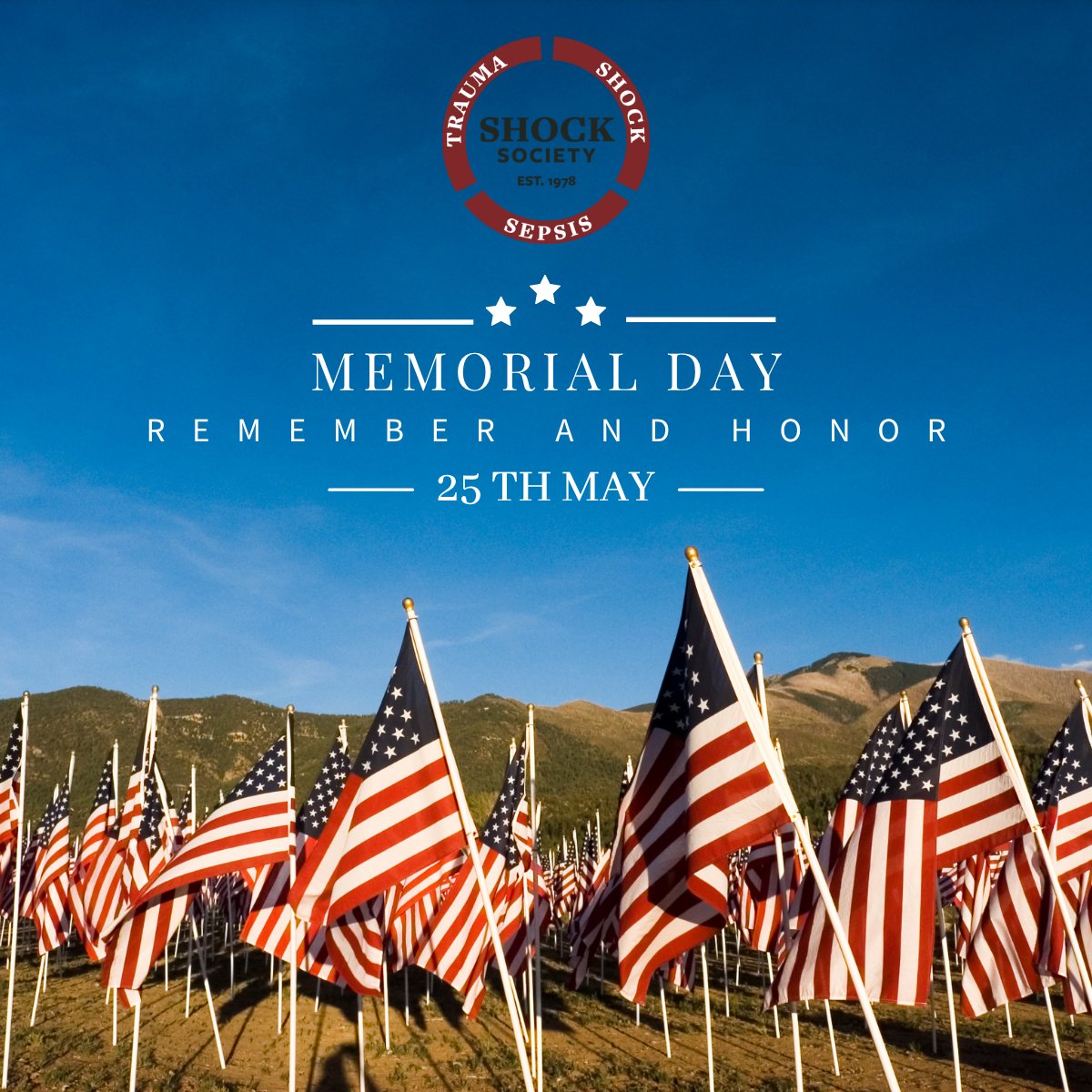 ShockSociety's tweet photo. On Memorial Day, we come together to celebrate and honor the brave men and women who have served our country. Thank you for your service! Wishing you a wonderful and safe holiday! https://t.co/7Bc3zNa4CE