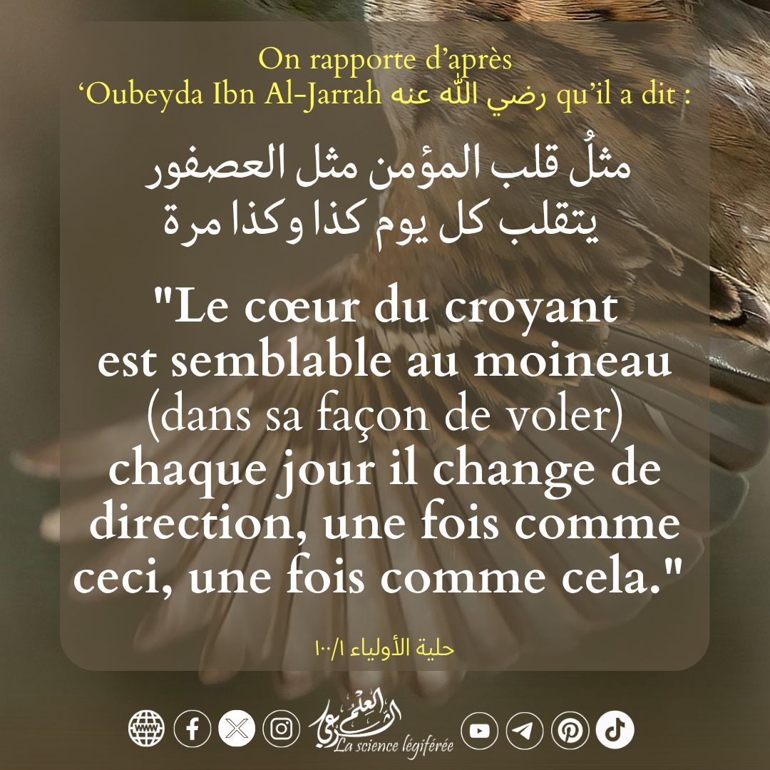 العلم الشرعي - La science légiférée tweet media