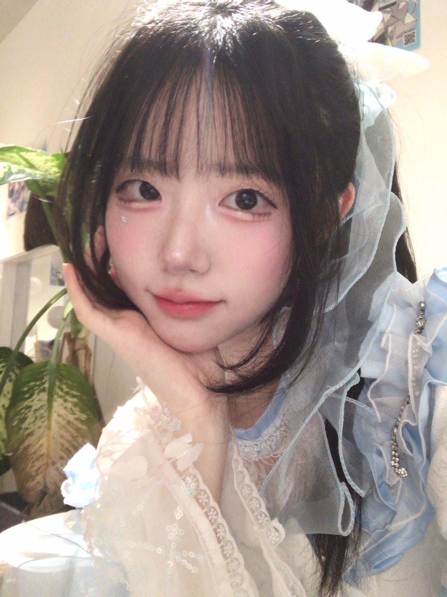 나비 𝑴𝒆𝒘𝒓𝒐 tweet media