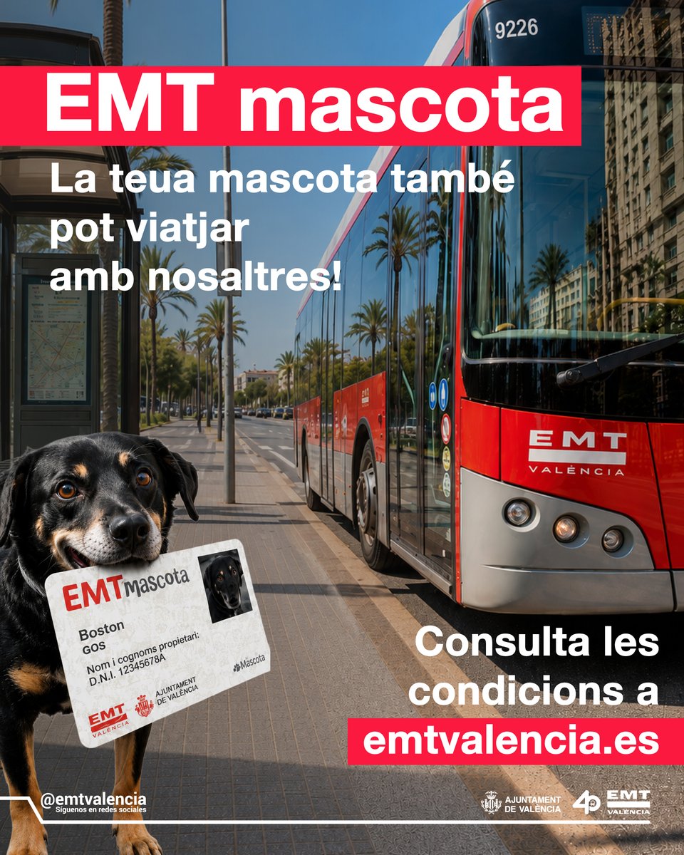 emtvalencia's tweet photo. 🐾 ¡EMT també és per a la teua mascota!
A EMT València, volem que tots i totes viatgen de manera còmoda!
Consulta les condicions i fes que la teua mascota viatge tan còmoda com tu! 🐶🐱
#EMTValència #EMTMascota #MobilitatSostenible #Mascotes https://t.co/KCau7xbf8y