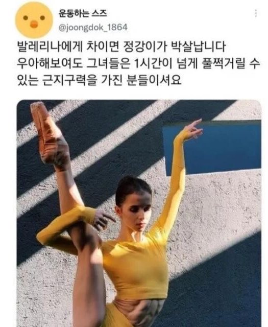 nyangosteen's tweet photo. 다들 발레 하세용 💗 https://t.co/Kj5kWAINQU