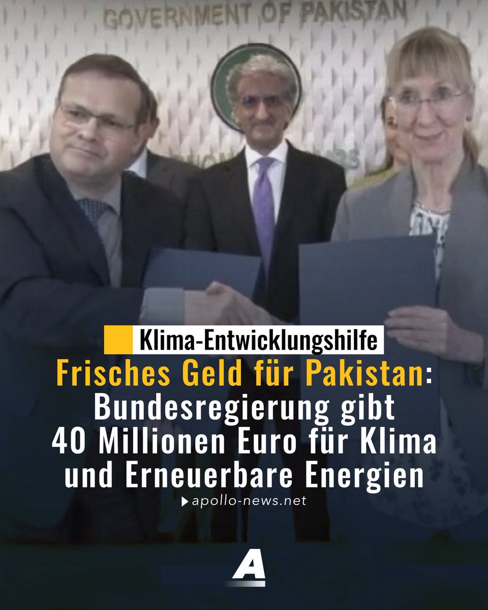 malca goldstein-wolf tweet media