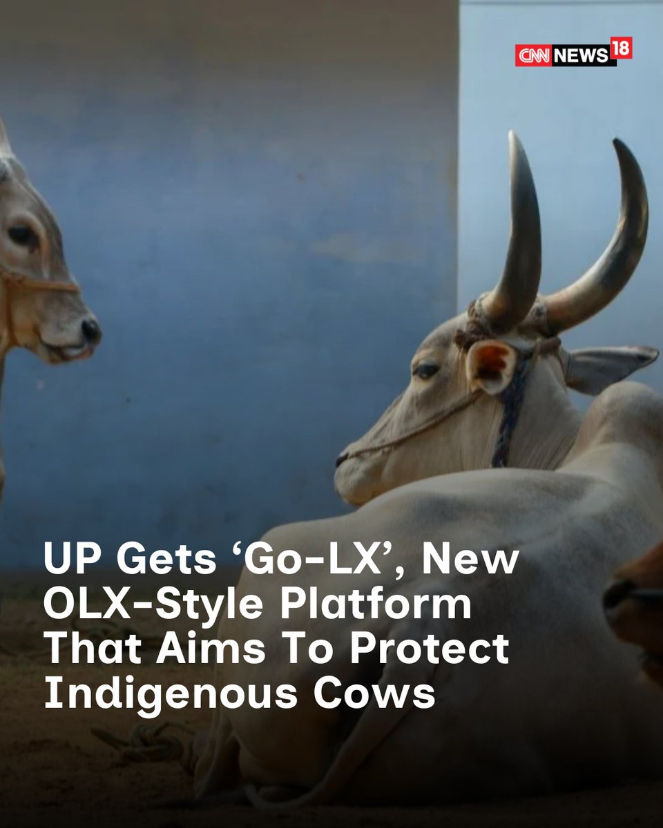 CNNnews18's tweet photo. Announced by Avimukteshwaranand Saraswati during his cow protection yatra, the proposed platform plans licensed adoption, crowd funding, and Gau Dhams for indigenous cows.

@Oliver056 | #CowProtection 

https://t.co/2EONAsTAla https://t.co/wQ742SiZK8