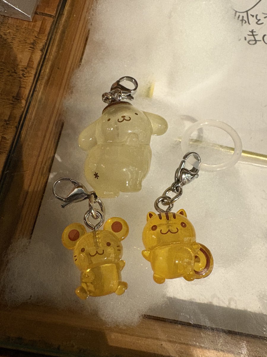 新・高城亨 tweet media