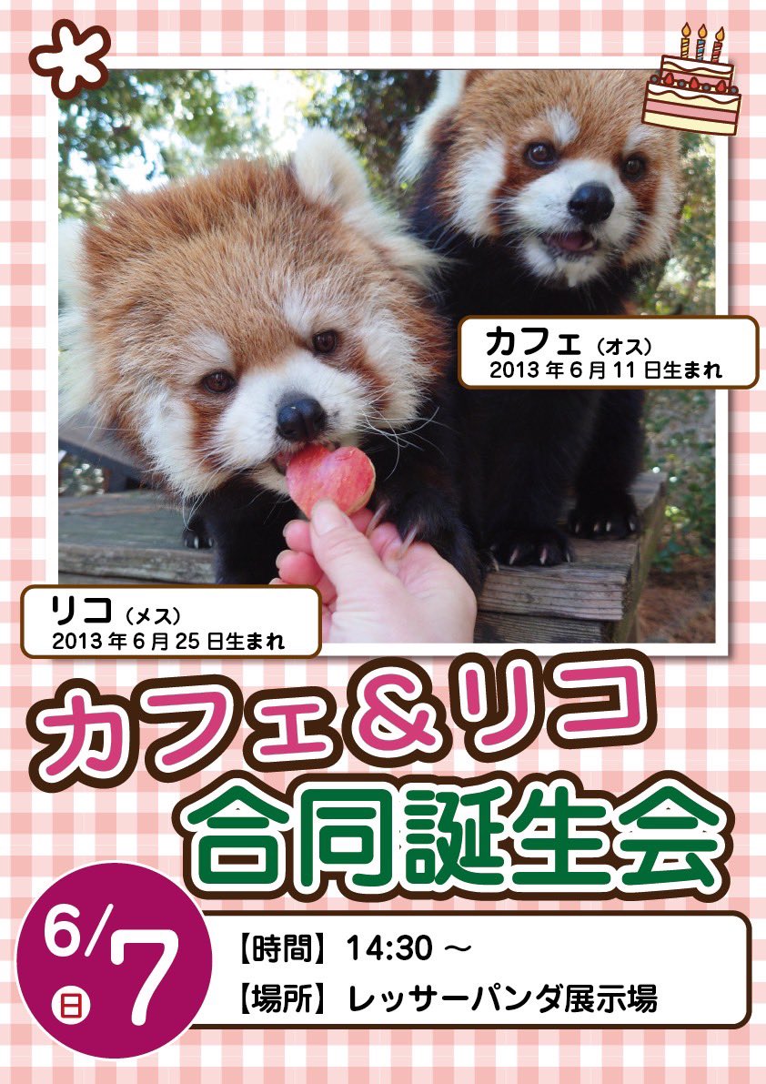 【公式】宮崎市フェニックス自然動物園 tweet media