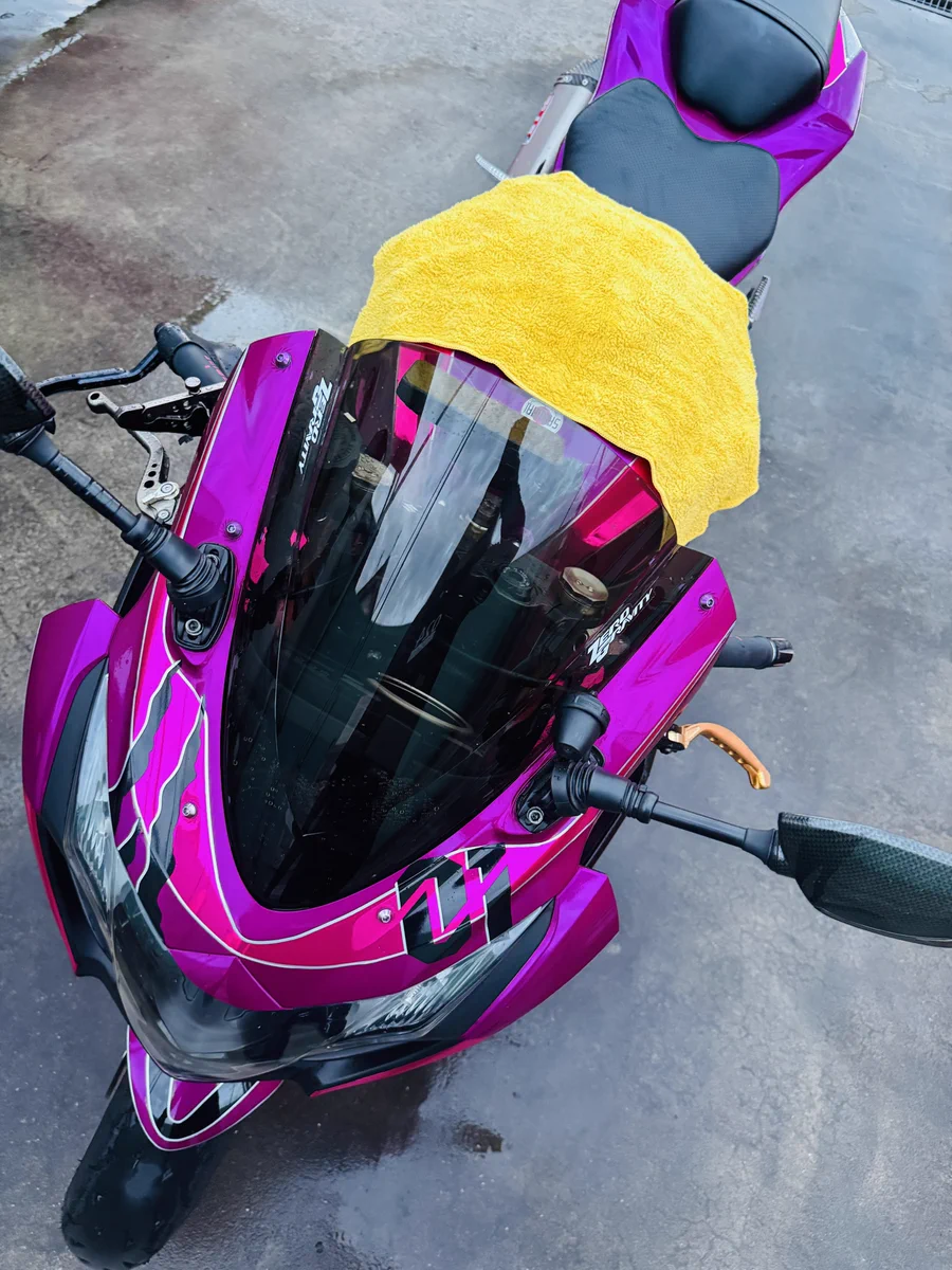 𝐒ちゃん🌸猫Photo Rider on X: 