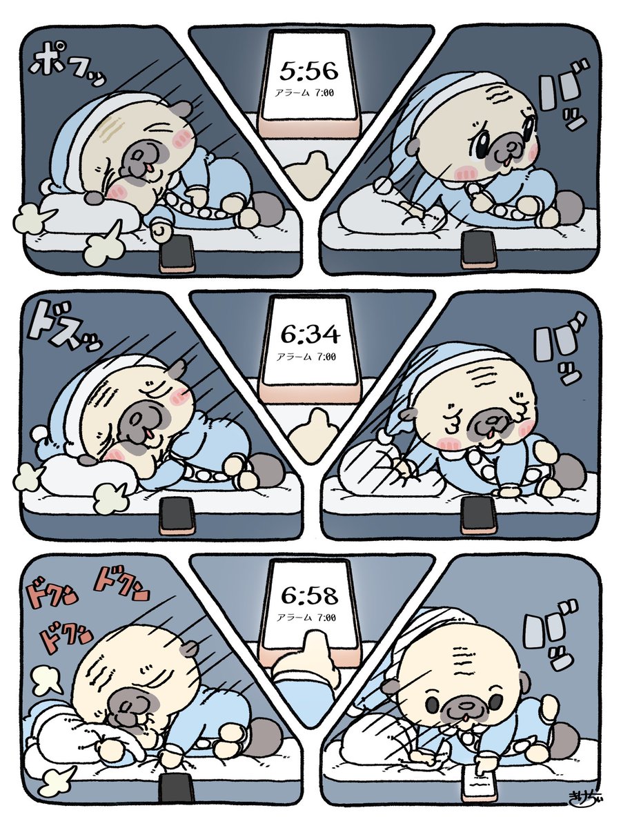 パグのもったん tweet media