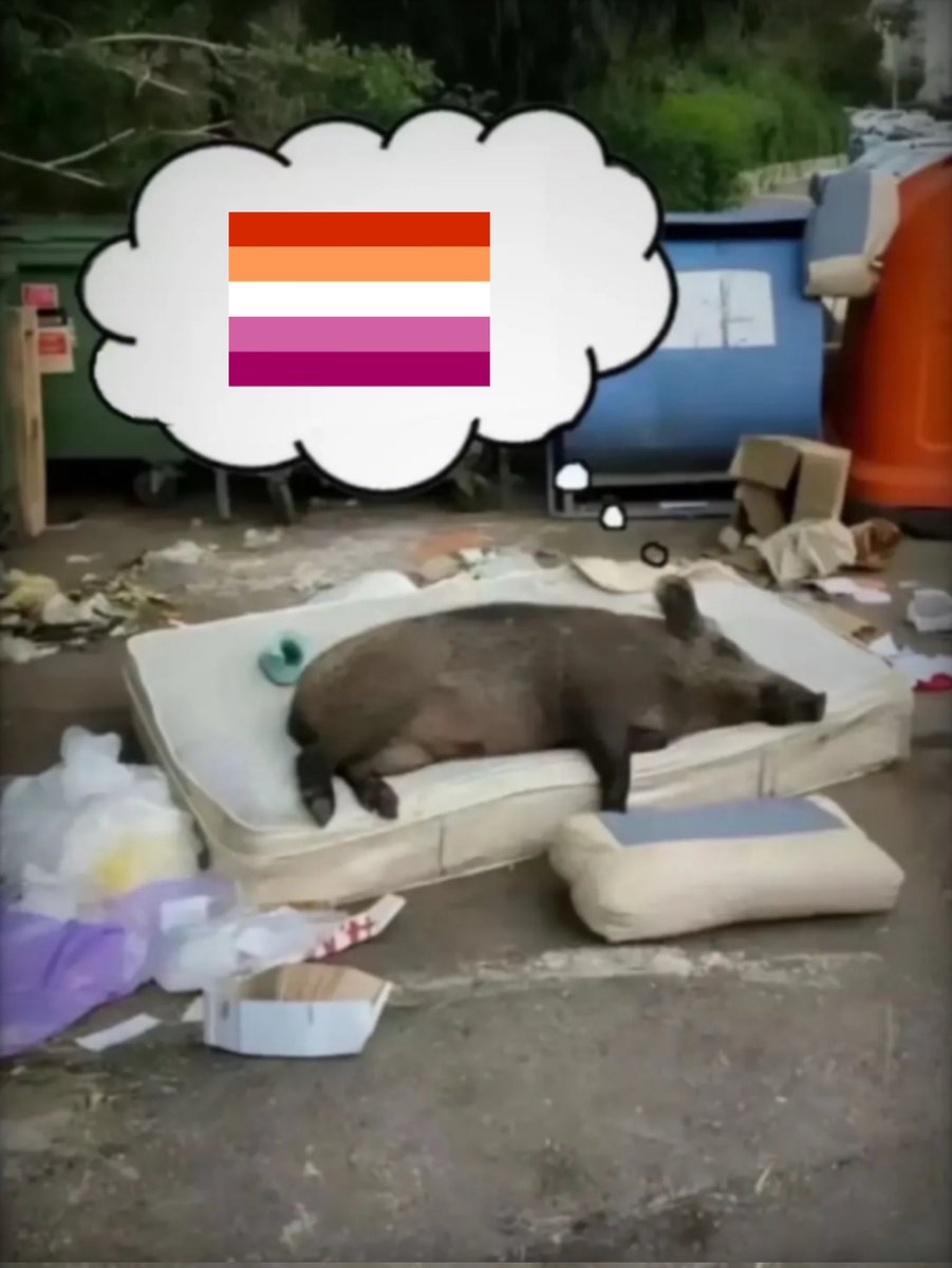 Gà Lê văn tweet media