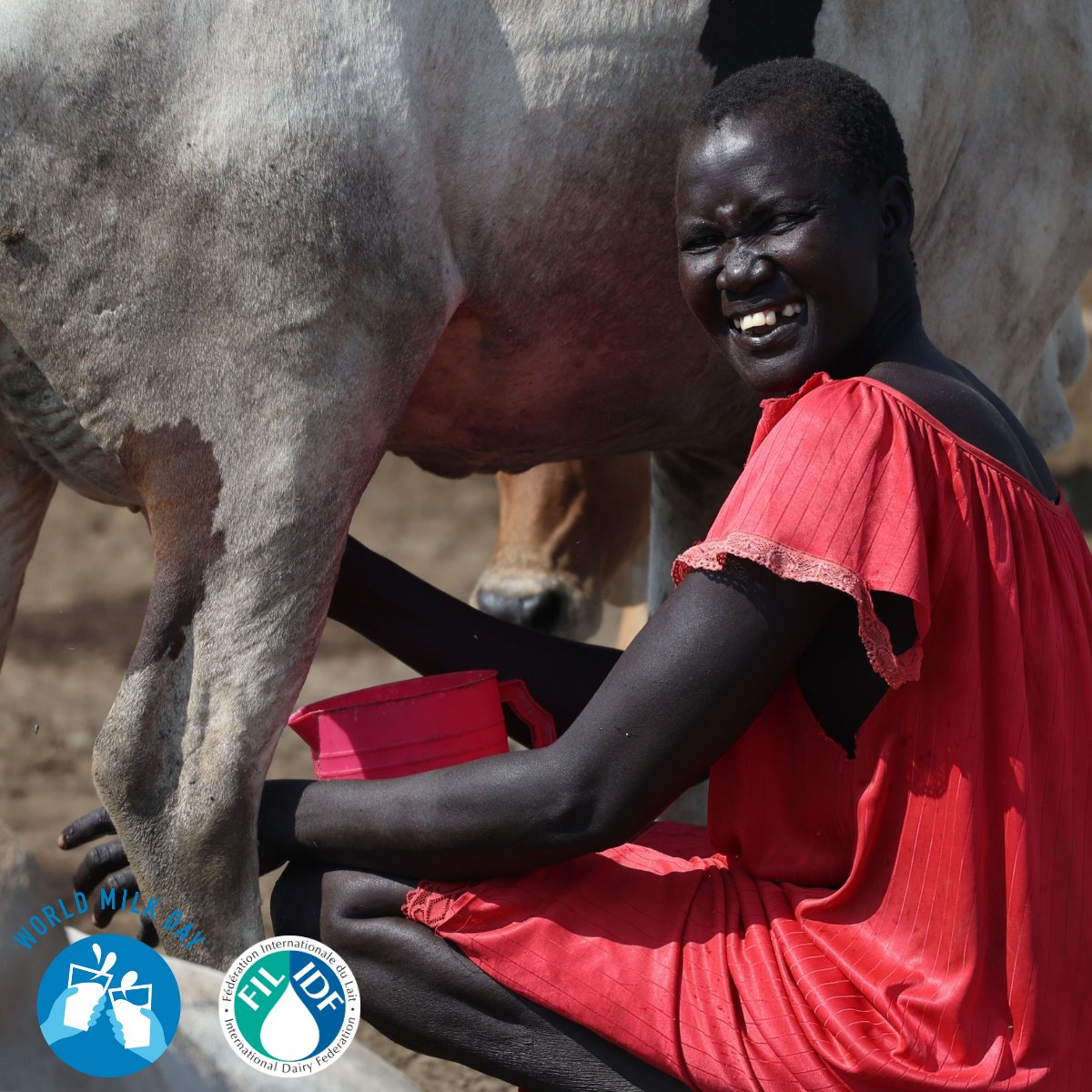 International Dairy Federation tweet media