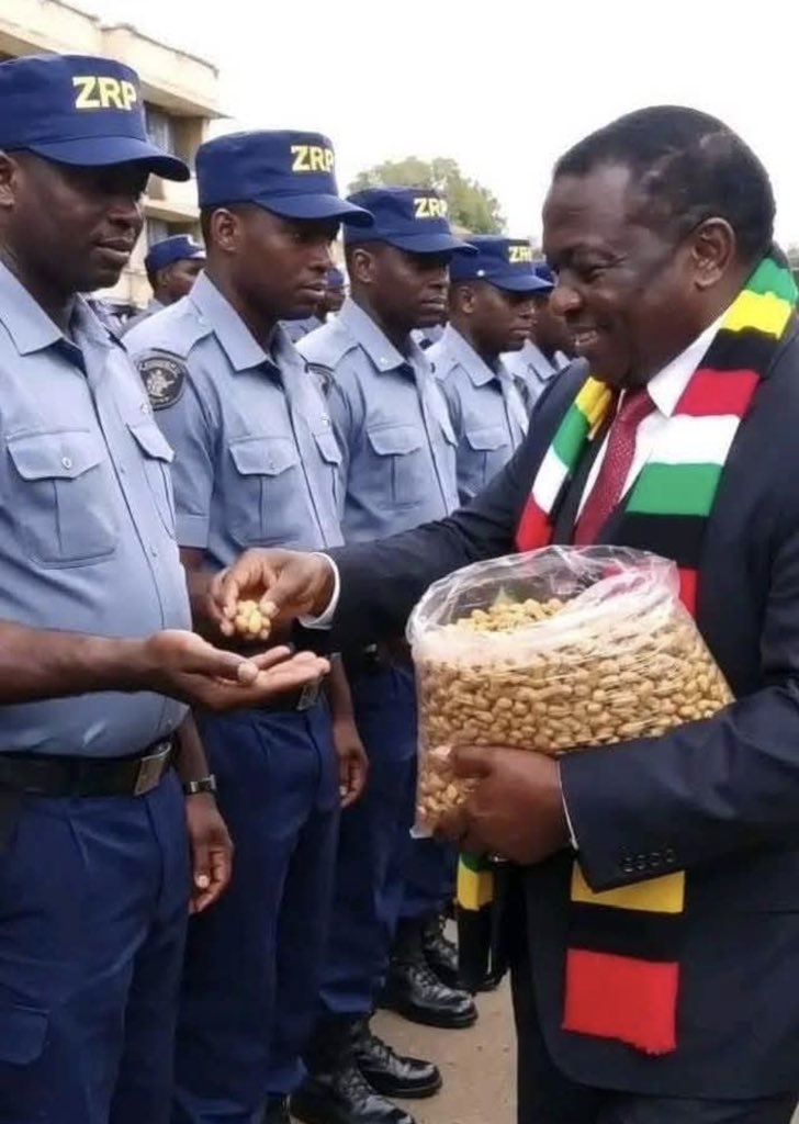 Fadzayi Mahere🇿🇼 tweet media