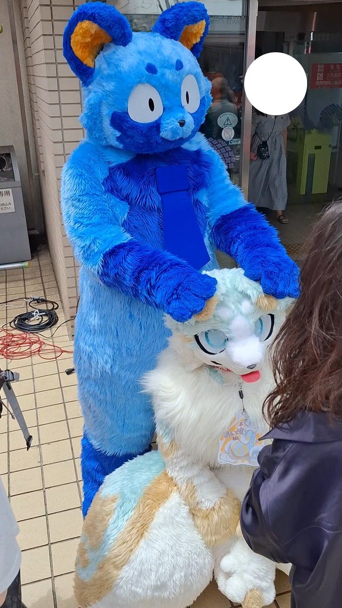 ラクたろ (@dream_raccoon) / Posts / X