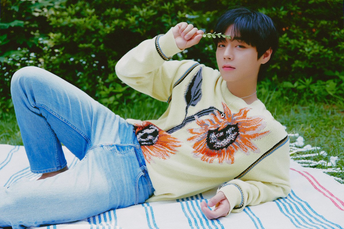 땅땅이 tweet media