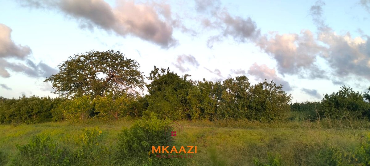 KeMkaazi's tweet photo. PRIME 37 ACRES CLIFFSIDE LAND FOR SALE IN MARAFA 🌄
💰 KES 300K PER ACRE
💰 TOTAL: KES 11.1M
Perfect for eco-resorts, villas, farming & long-term investment.
📞 +254781568989
🔗 View Property
#Marafa #LandForSale #Malindi #KenyaRealEstate #PrimeLand #InvestmentProperty https://t.co/NeWvu78xt5