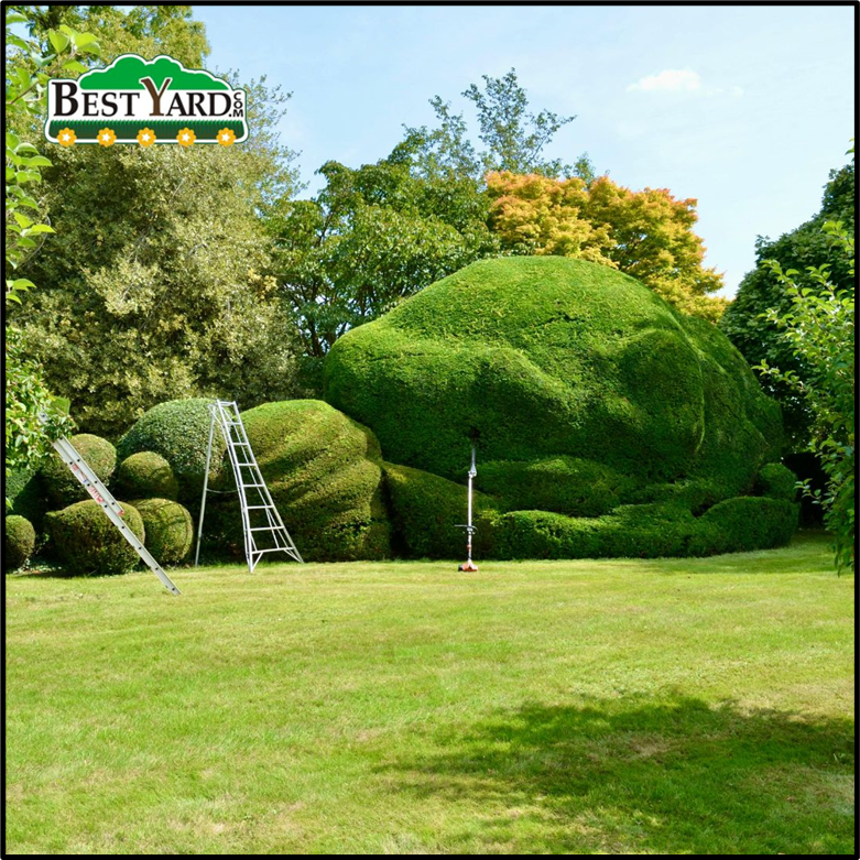 bestyardcom's tweet photo. Are you looking for professional garden services to keep your outdoor space clean, healthy, and beautiful? Expert care for every season, visit us - https://t.co/ix9j2MQDYx
#gardenservice #gardening #lawncare #landscapemaintenance #BestYard https://t.co/smuUkkzkBY