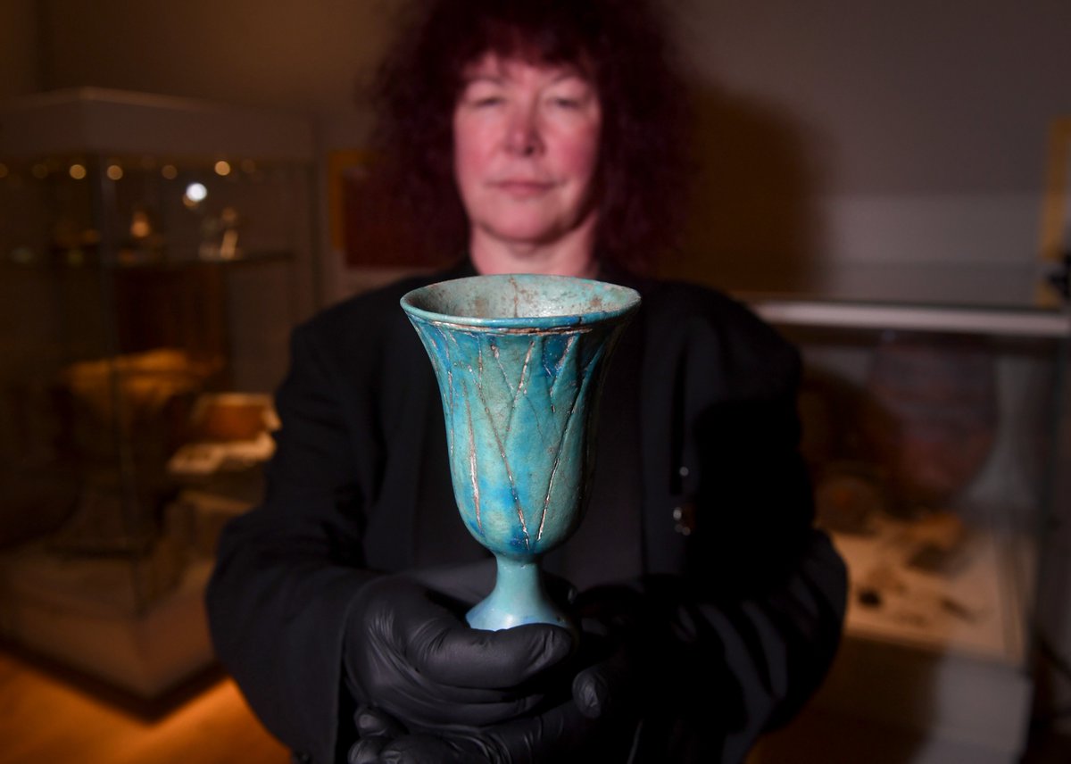 Immortal Egypt: Prof. Joann Fletcher tweet media